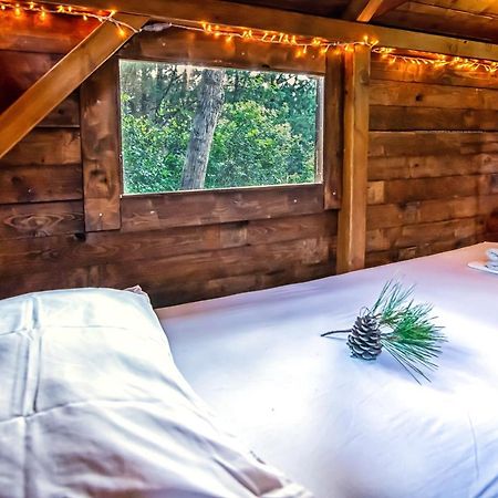Drolma Ling Nature Cabins เธโอโลกอส ภายนอก รูปภาพ