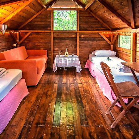 Drolma Ling Nature Cabins เธโอโลกอส ภายนอก รูปภาพ