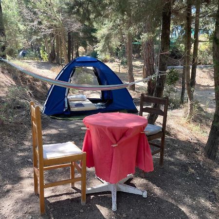 Drolma Ling Nature Cabins เธโอโลกอส ภายนอก รูปภาพ