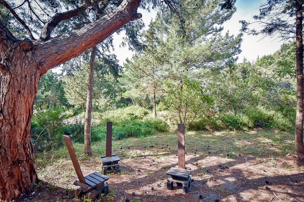 Drolma Ling Nature Cabins เธโอโลกอส ภายนอก รูปภาพ