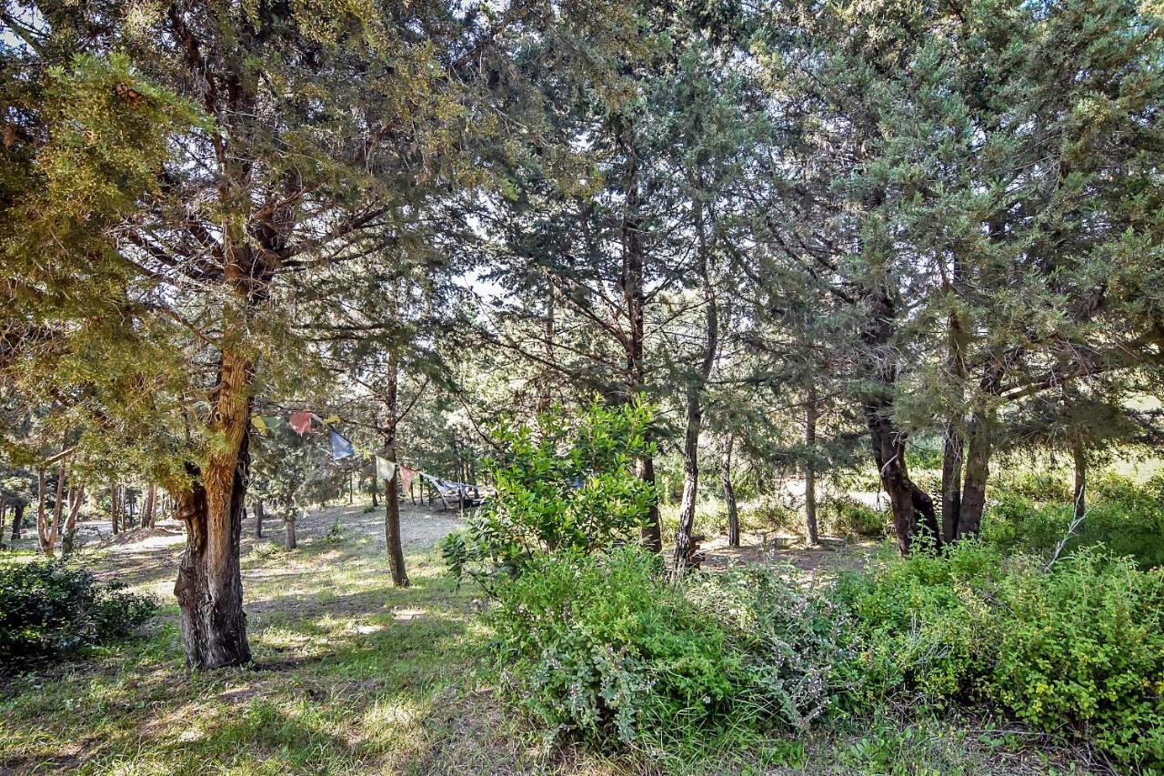 Drolma Ling Nature Cabins เธโอโลกอส ภายนอก รูปภาพ