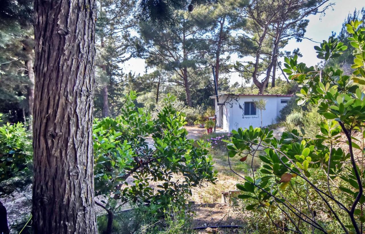 Drolma Ling Nature Cabins เธโอโลกอส ภายนอก รูปภาพ