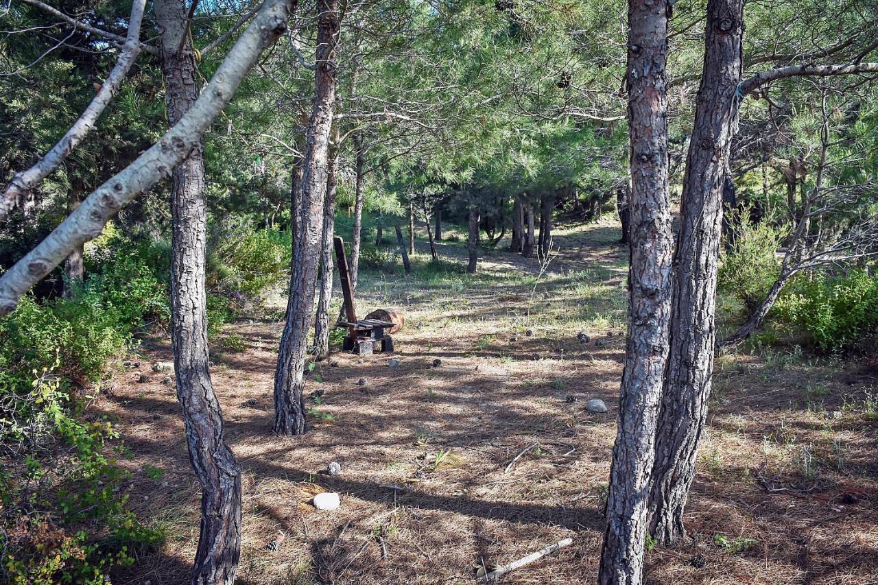 Drolma Ling Nature Cabins เธโอโลกอส ภายนอก รูปภาพ