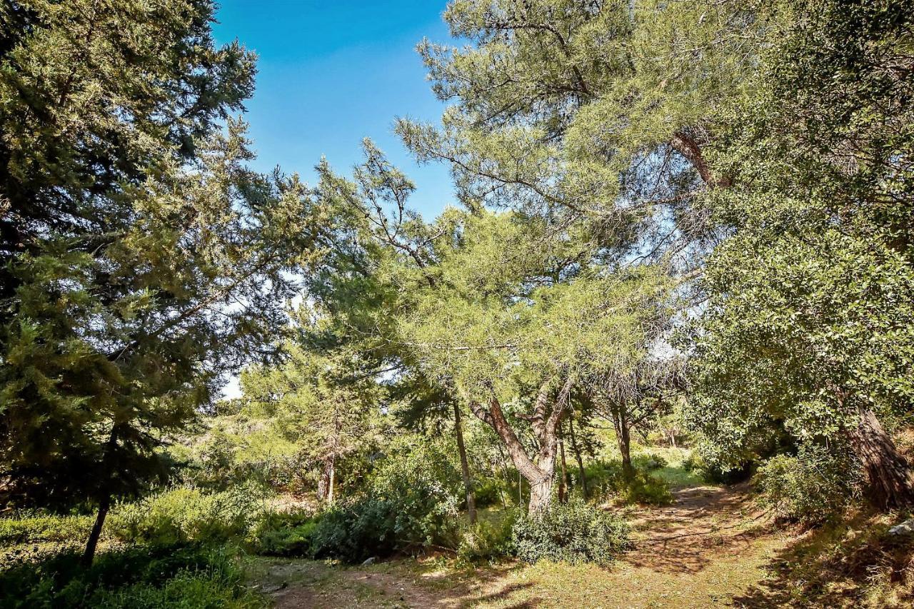 Drolma Ling Nature Cabins เธโอโลกอส ภายนอก รูปภาพ