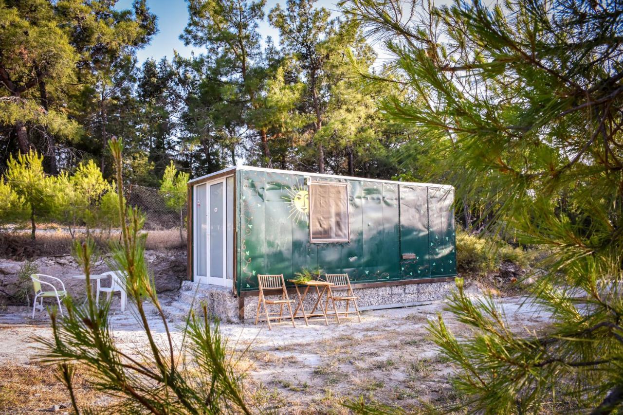 Drolma Ling Nature Cabins เธโอโลกอส ภายนอก รูปภาพ