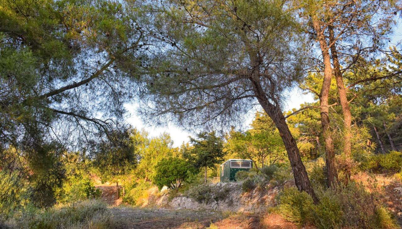 Drolma Ling Nature Cabins เธโอโลกอส ภายนอก รูปภาพ