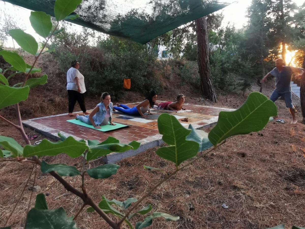Drolma Ling Nature Cabins เธโอโลกอส ภายนอก รูปภาพ