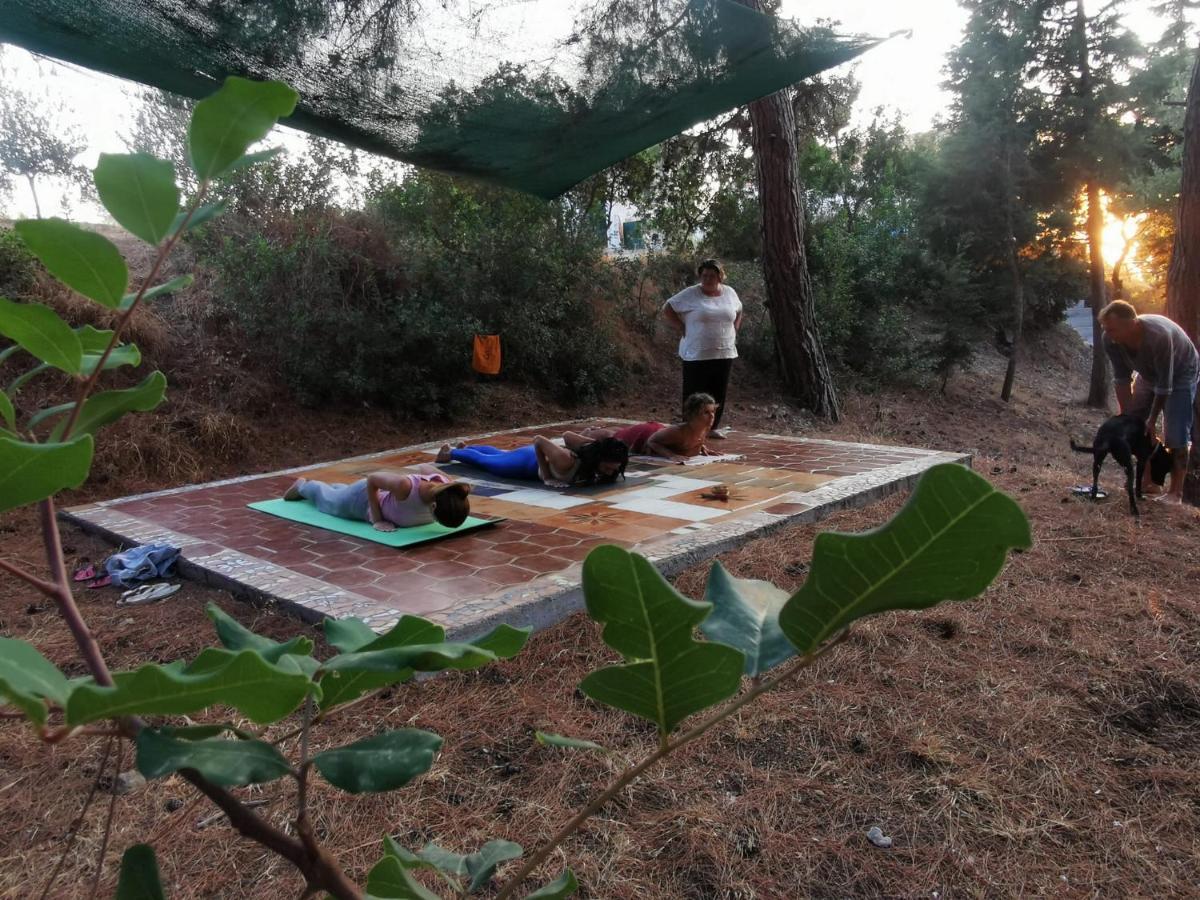 Drolma Ling Nature Cabins เธโอโลกอส ภายนอก รูปภาพ