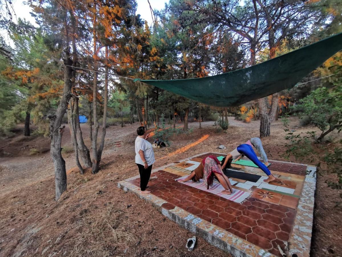 Drolma Ling Nature Cabins เธโอโลกอส ภายนอก รูปภาพ