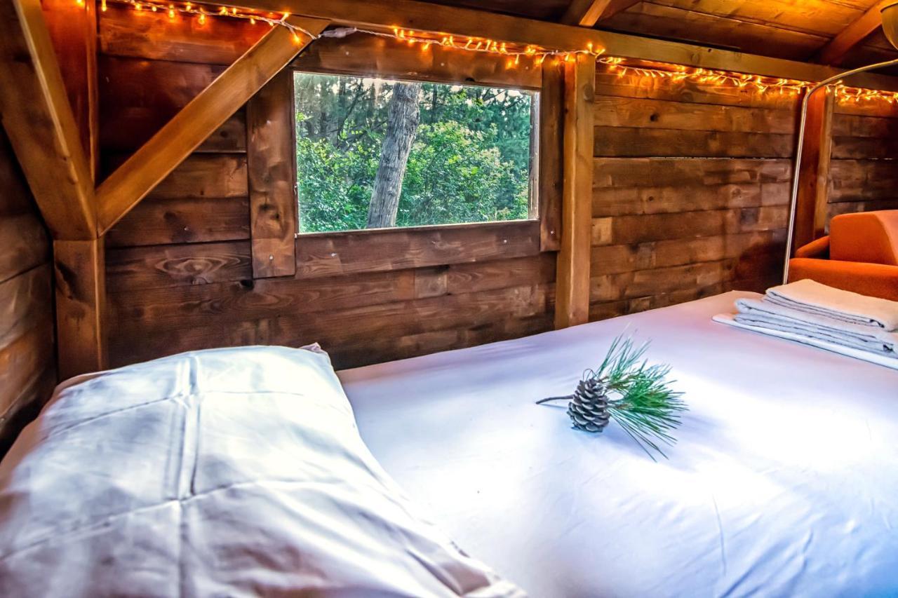 Drolma Ling Nature Cabins เธโอโลกอส ภายนอก รูปภาพ