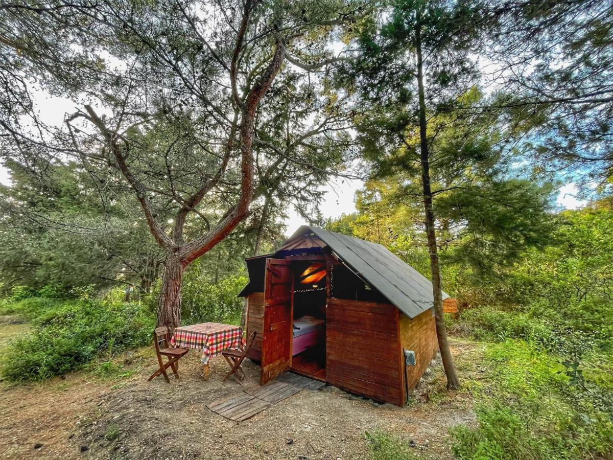 Drolma Ling Nature Cabins เธโอโลกอส ภายนอก รูปภาพ