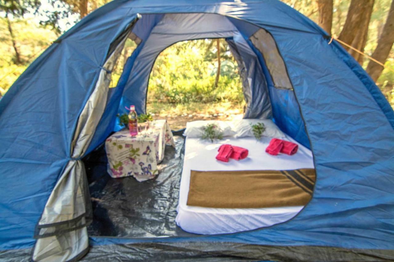 Drolma Ling Nature Cabins เธโอโลกอส ภายนอก รูปภาพ
