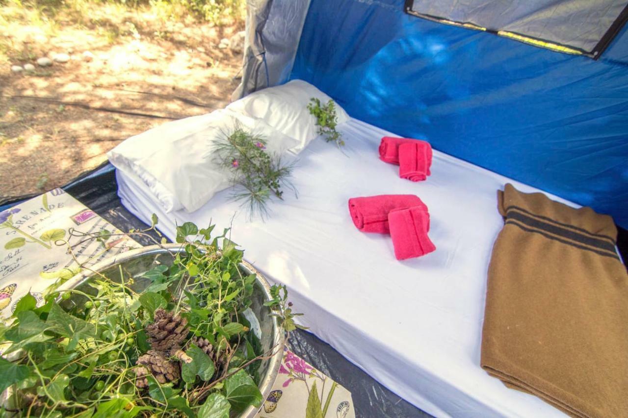 Drolma Ling Nature Cabins เธโอโลกอส ภายนอก รูปภาพ