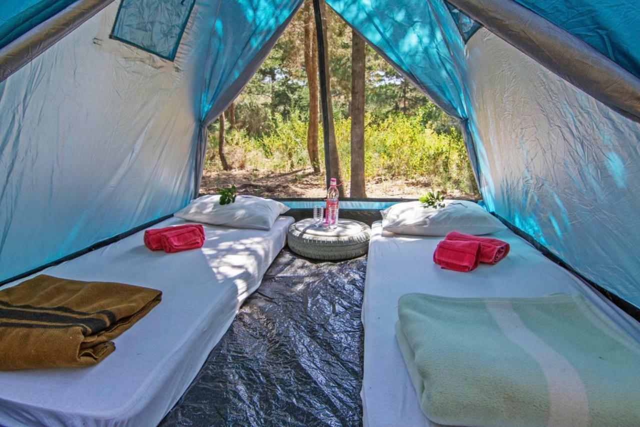 Drolma Ling Nature Cabins เธโอโลกอส ภายนอก รูปภาพ