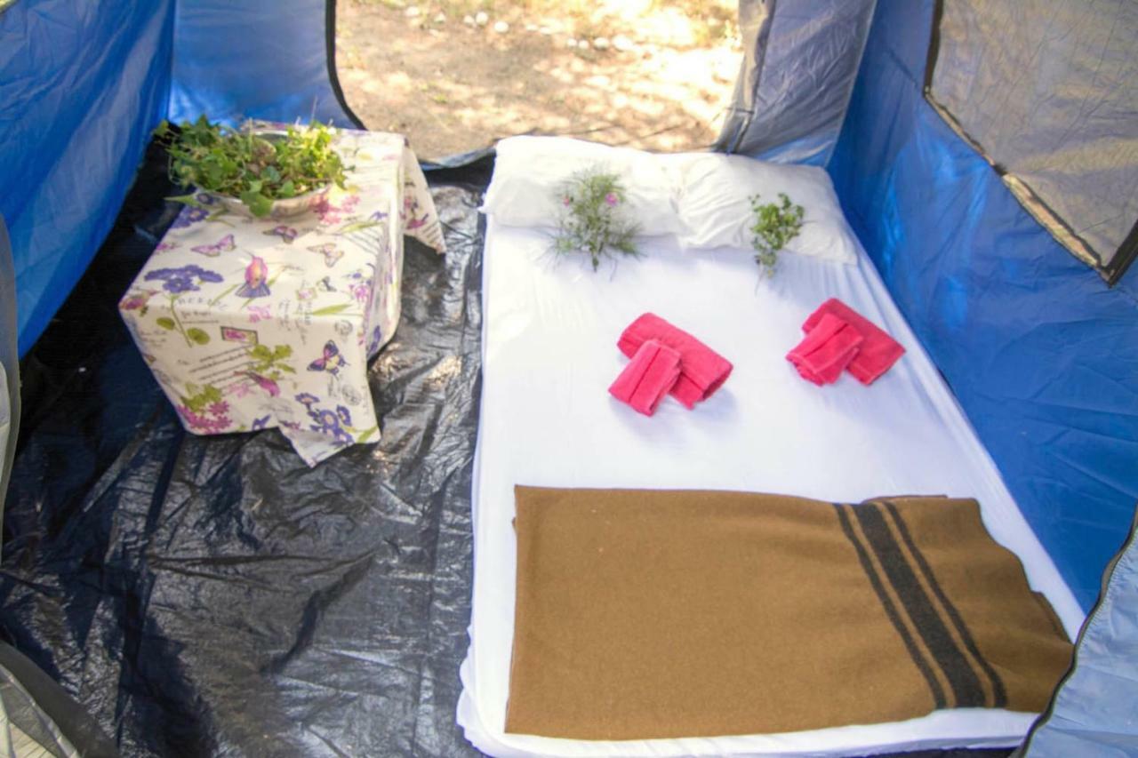 Drolma Ling Nature Cabins เธโอโลกอส ภายนอก รูปภาพ