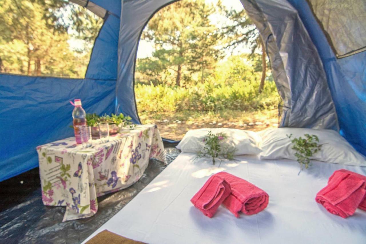 Drolma Ling Nature Cabins เธโอโลกอส ภายนอก รูปภาพ